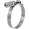 CLAMP, T-BOLT SPRING