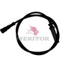 ABS SENSOR AND CABLE, 1.1 METER